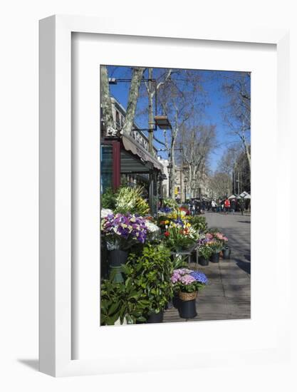 Flower Stall on Las Ramblas, Barcelona, Catalunya, Spain, Europe-James Emmerson-Framed Photographic Print