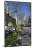 Flower Stall on Las Ramblas, Barcelona, Catalunya, Spain, Europe-James Emmerson-Mounted Photographic Print