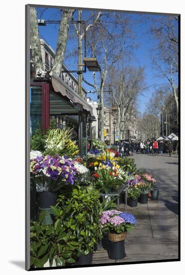 Flower Stall on Las Ramblas, Barcelona, Catalunya, Spain, Europe-James Emmerson-Mounted Photographic Print