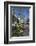 Flower Stall on Las Ramblas, Barcelona, Catalunya, Spain, Europe-James Emmerson-Framed Photographic Print