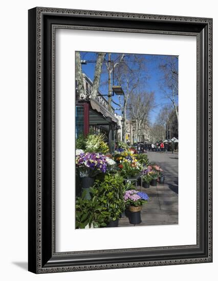 Flower Stall on Las Ramblas, Barcelona, Catalunya, Spain, Europe-James Emmerson-Framed Photographic Print