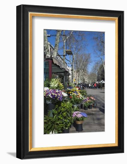 Flower Stall on Las Ramblas, Barcelona, Catalunya, Spain, Europe-James Emmerson-Framed Photographic Print