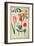 Flower Studies-Nicolas Robert-Framed Giclee Print