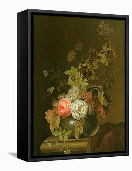 Flower Study-Herman van der Myn-Framed Premier Image Canvas