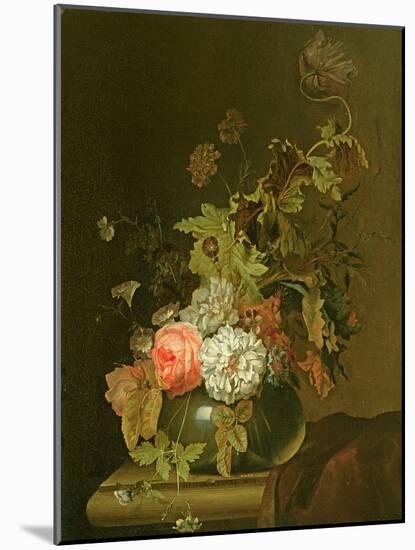 Flower Study-Herman van der Myn-Mounted Giclee Print