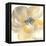 Flower Tones II-Chris Paschke-Framed Stretched Canvas