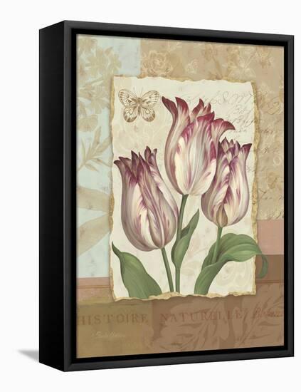 Flower Trio I-Pamela Gladding-Framed Stretched Canvas