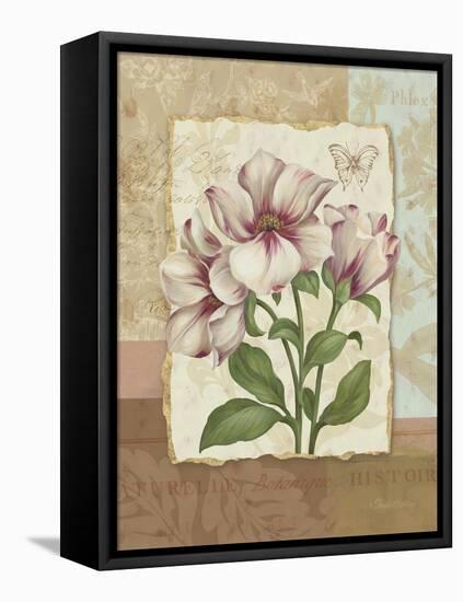 Flower Trio II-Pamela Gladding-Framed Stretched Canvas