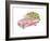 Flower Truck III-Catherine McGuire-Framed Art Print