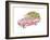 Flower Truck III-Catherine McGuire-Framed Art Print