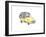 Flower Truck VI-Catherine McGuire-Framed Art Print