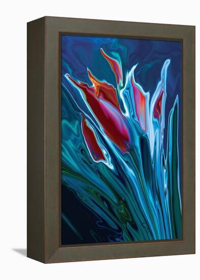 Flower Unknown 2-Rabi Khan-Framed Stretched Canvas