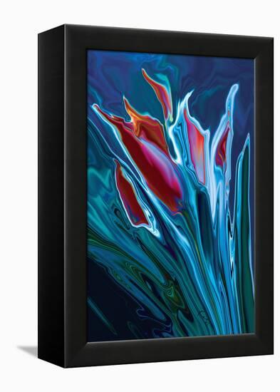 Flower Unknown 2-Rabi Khan-Framed Stretched Canvas