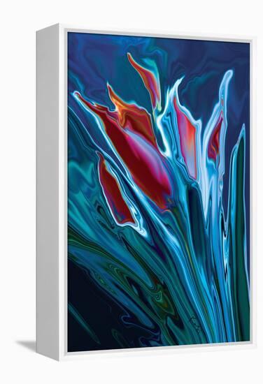 Flower Unknown 2-Rabi Khan-Framed Stretched Canvas