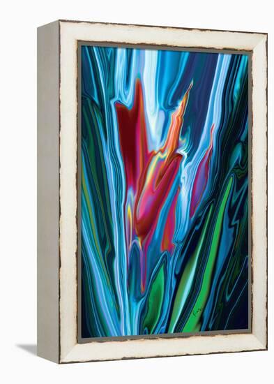 Flower Unknown-Rabi Khan-Framed Stretched Canvas