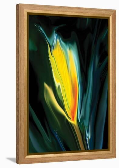 Flower Unkown 5-Rabi Khan-Framed Stretched Canvas