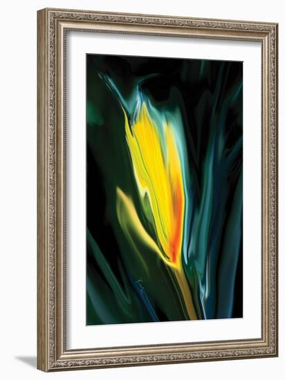 Flower Unkown 5-Rabi Khan-Framed Art Print