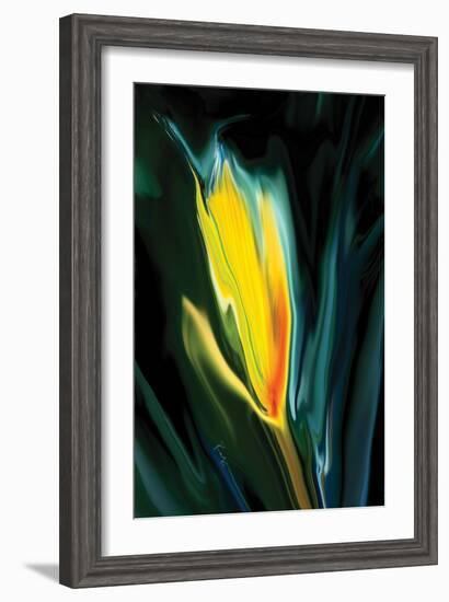 Flower Unkown 5-Rabi Khan-Framed Art Print