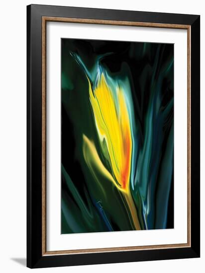 Flower Unkown 5-Rabi Khan-Framed Art Print