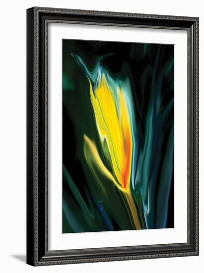 Flower Unkown 5-Rabi Khan-Framed Art Print