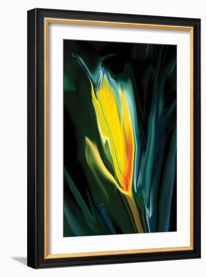 Flower Unkown 5-Rabi Khan-Framed Art Print