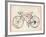 Flower Vintage Bicycle-studiohome-Framed Art Print