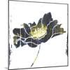 Flower With Blue Yellow-Jace Grey-Mounted Art Print