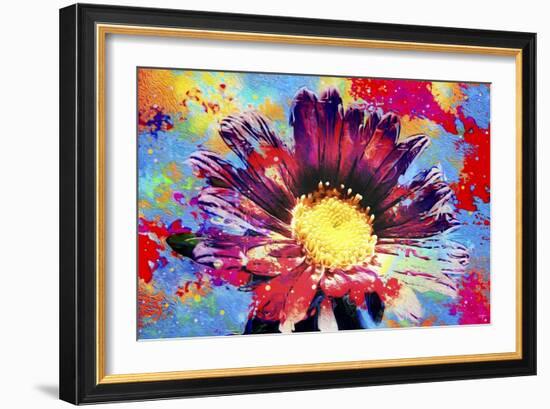 Flower XIII-Fernando Palma-Framed Giclee Print