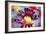 Flower XIII-Fernando Palma-Framed Giclee Print