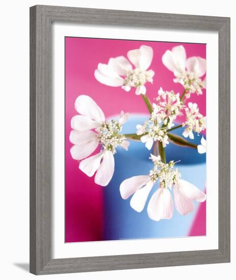 Flower-Amelie Vuillon-Framed Art Print