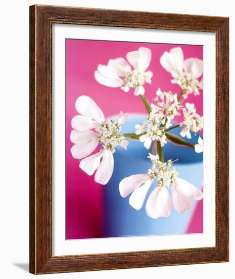 Flower-Amelie Vuillon-Framed Art Print