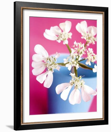 Flower-Amelie Vuillon-Framed Art Print