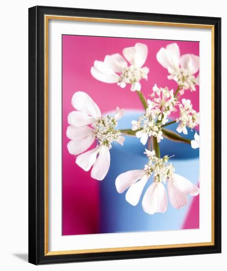 Flower-Amelie Vuillon-Framed Art Print