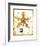 Flower-Tighe O'Donoghue-Framed Limited Edition