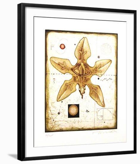 Flower-Tighe O'Donoghue-Framed Limited Edition