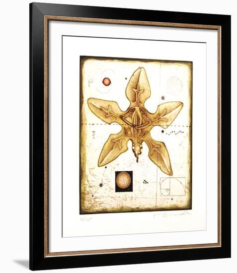 Flower-Tighe O'Donoghue-Framed Limited Edition