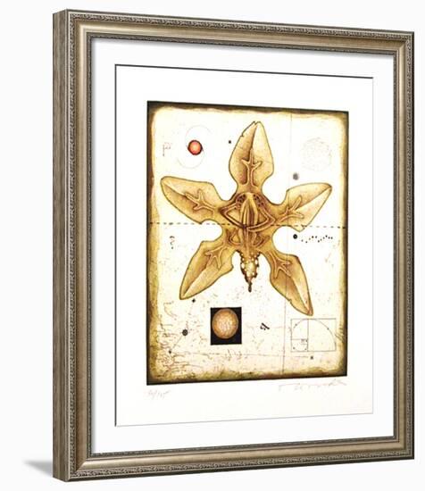 Flower-Tighe O'Donoghue-Framed Limited Edition