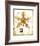 Flower-Tighe O'Donoghue-Framed Limited Edition