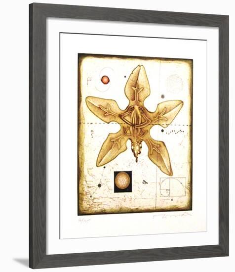 Flower-Tighe O'Donoghue-Framed Limited Edition