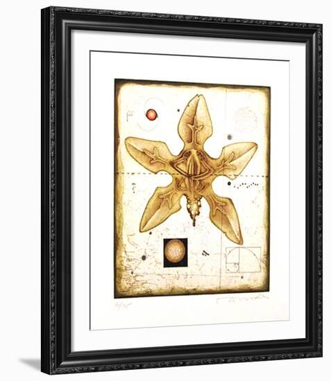 Flower-Tighe O'Donoghue-Framed Limited Edition