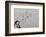 Flower-Banksy-Framed Giclee Print