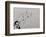 Flower-Banksy-Framed Giclee Print