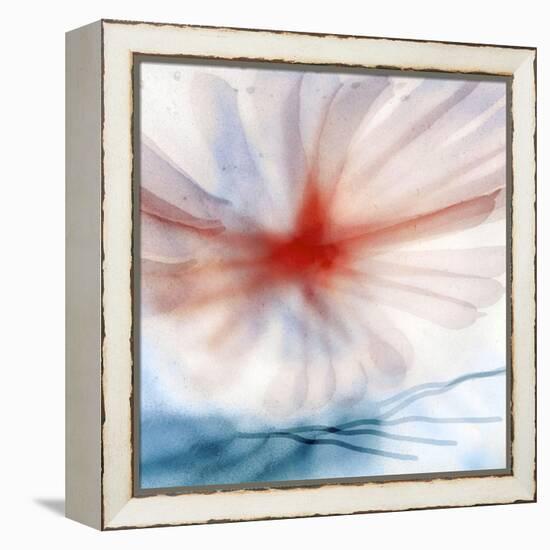 Flower-Ursula Abresch-Framed Premier Image Canvas