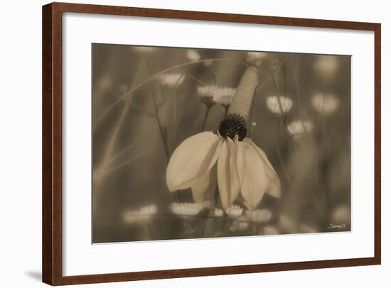 Flower-Gordon Semmens-Framed Photographic Print