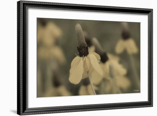 Flower-Gordon Semmens-Framed Photographic Print