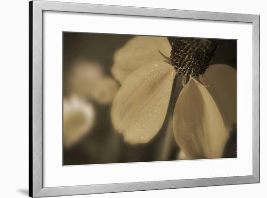 Flower-Gordon Semmens-Framed Photographic Print