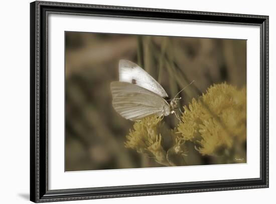 Flower-Gordon Semmens-Framed Photographic Print