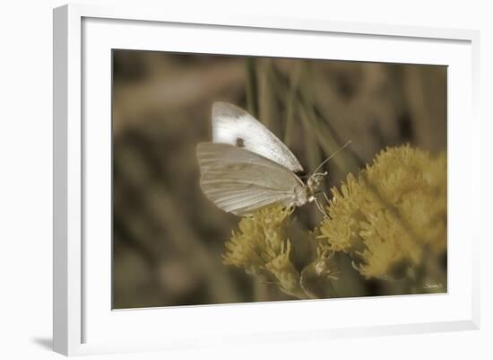 Flower-Gordon Semmens-Framed Photographic Print