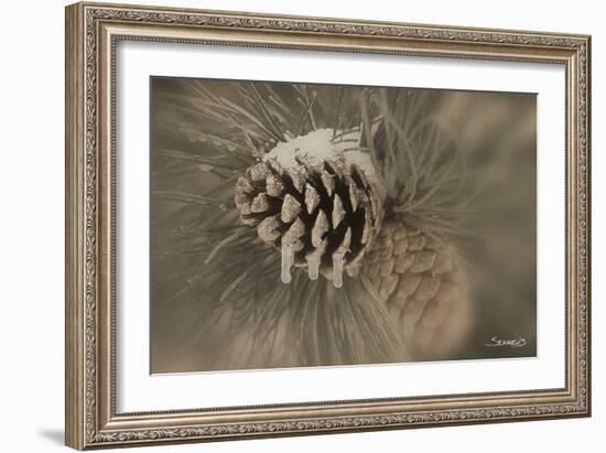 Flower-Gordon Semmens-Framed Photographic Print