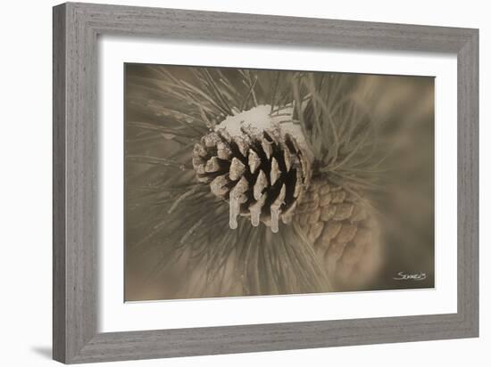 Flower-Gordon Semmens-Framed Photographic Print